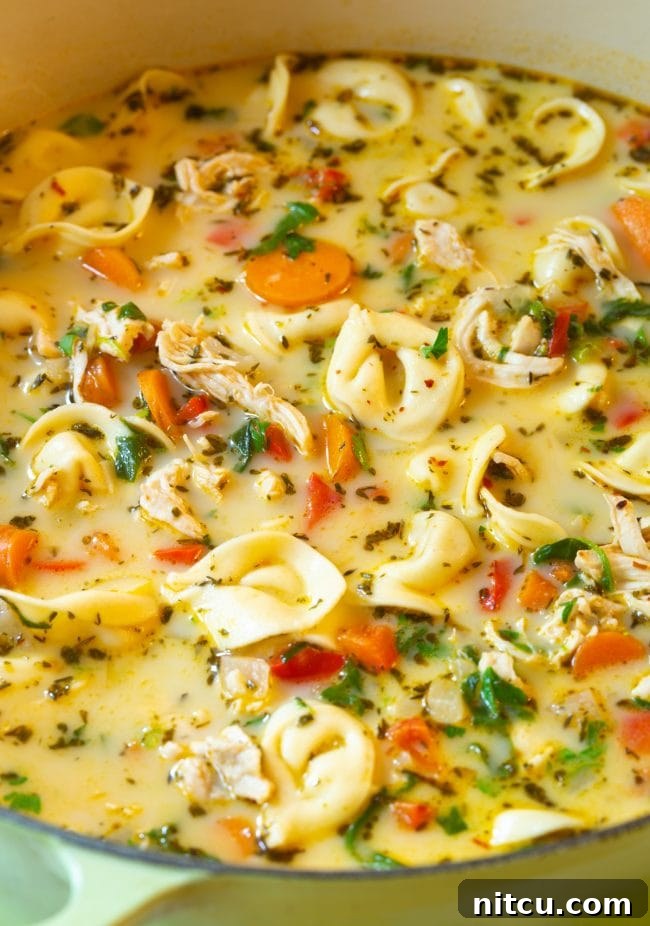 Close up shot of soup with chicken, tortellini, and veggies in a pot.