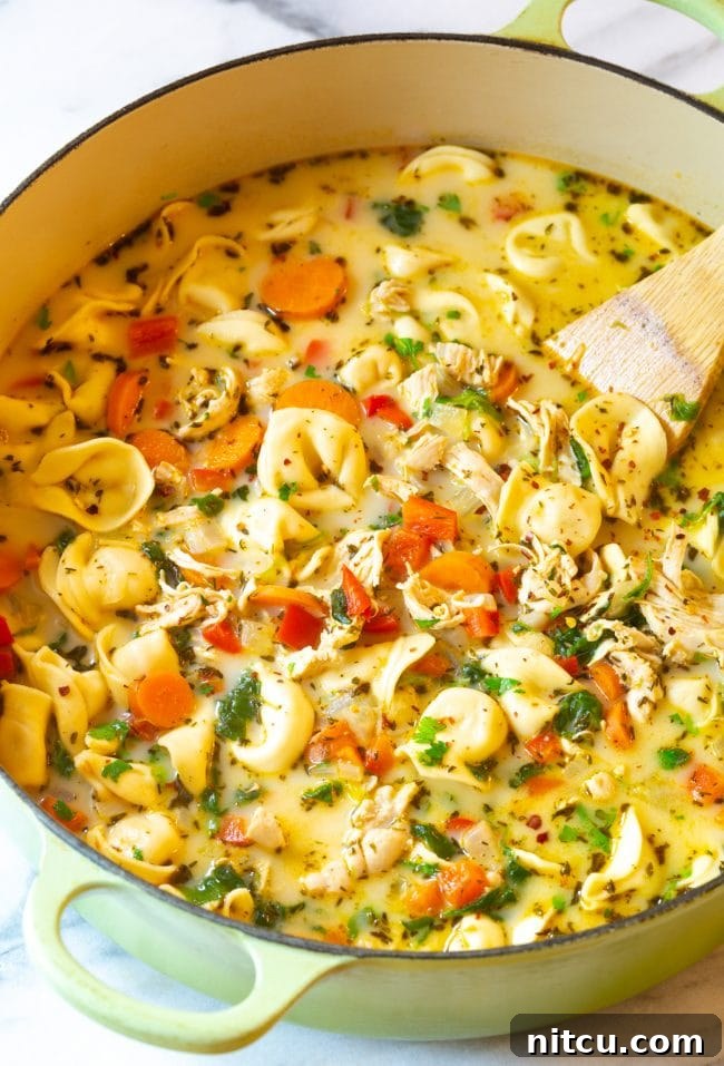 Chicken tortellini soup in a pot with a wooden spoon.