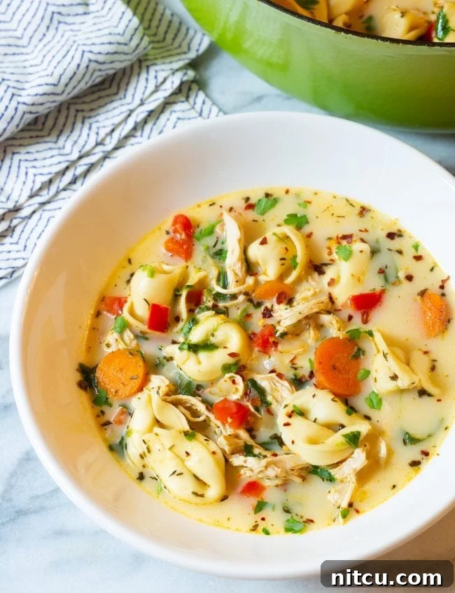 Bowl of creamy soup with tortellinis and chicken.