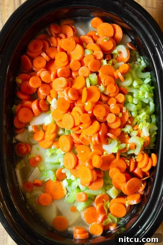 All vegetables in slow cooker for crockpot soup recipes