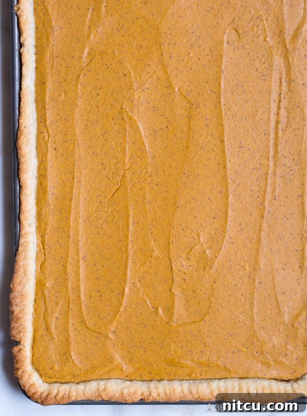 Pumpkin Slab Pie fresh out of the oven, golden crust and perfectly set filling.