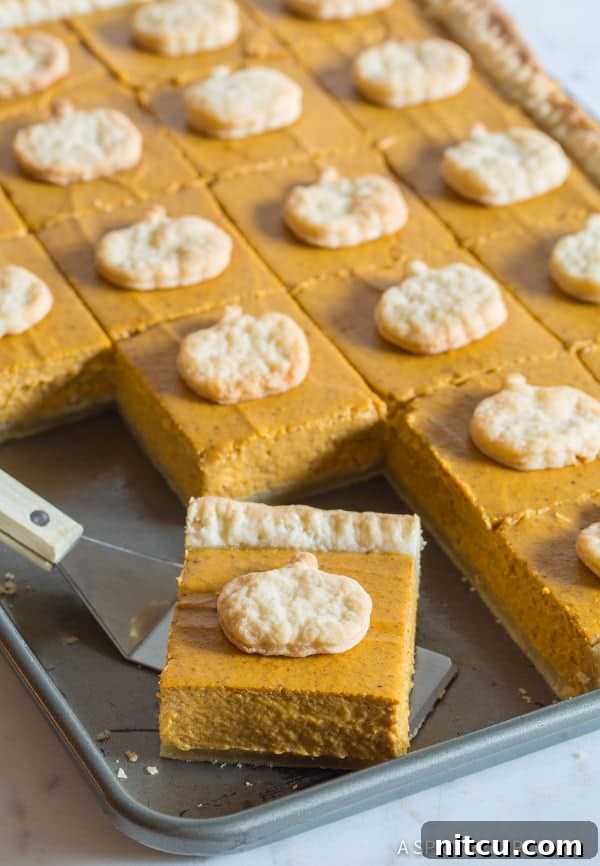 Close up of a perfectly cut Pumpkin Pie Bar, showing the silky smooth filling and flaky crust, adorned with a small crust topper.