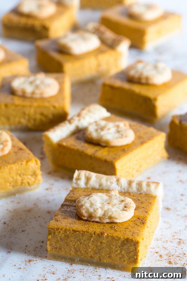 Pumpkin Pie Bars Recipe - showing side of silky pumpkin filling