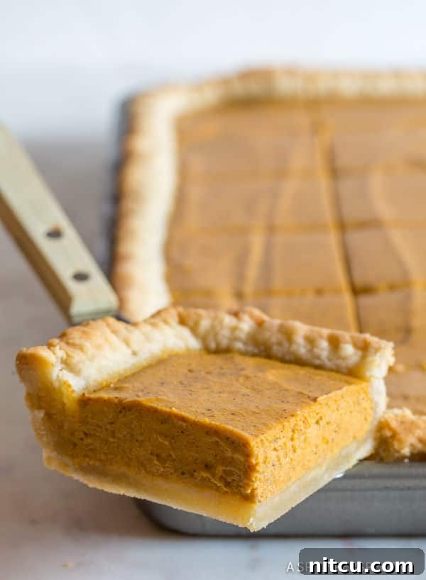 Amazing Secret Ingredient Perfect Pumpkin Slab Pie Recipe lifted out of pan, showcasing its beautiful texture and golden crust.
