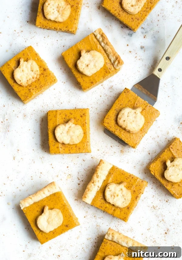Pumpkin Slab Pie Recipe overhead shot with toppers
