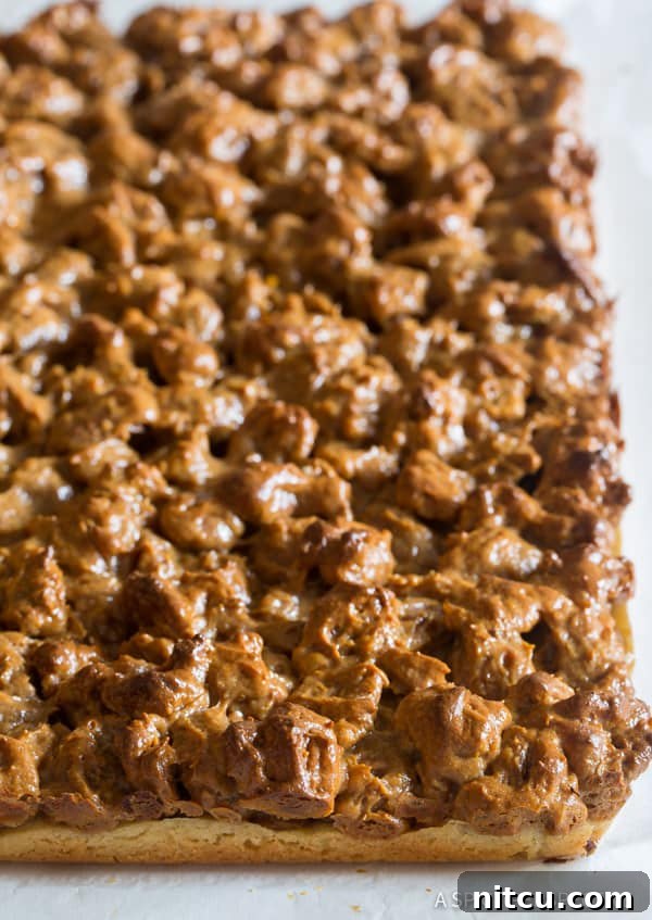 A freshly baked pan of pecan pie bars, golden brown and perfectly set, waiting to be cut.