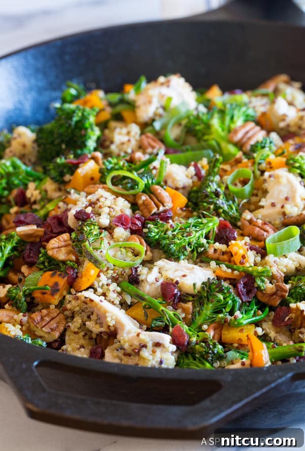Chicken Broccoli Quinoa close up shot of the finished dish, beautifully plated and ready to be enjoyed, showing off its textures and appealing colors.