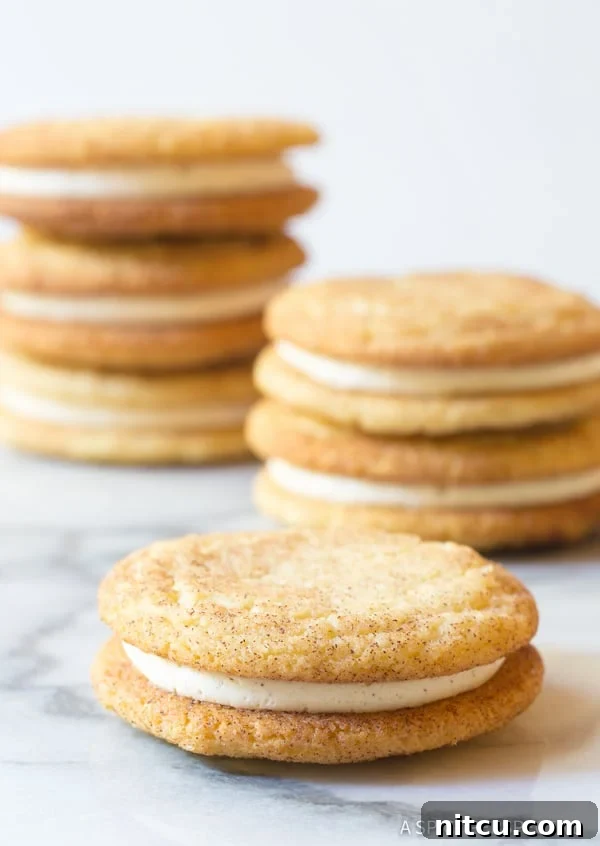 Snickerdoodle Sandwich Cookies made with Snickerdoodle Cookies - close up shot
