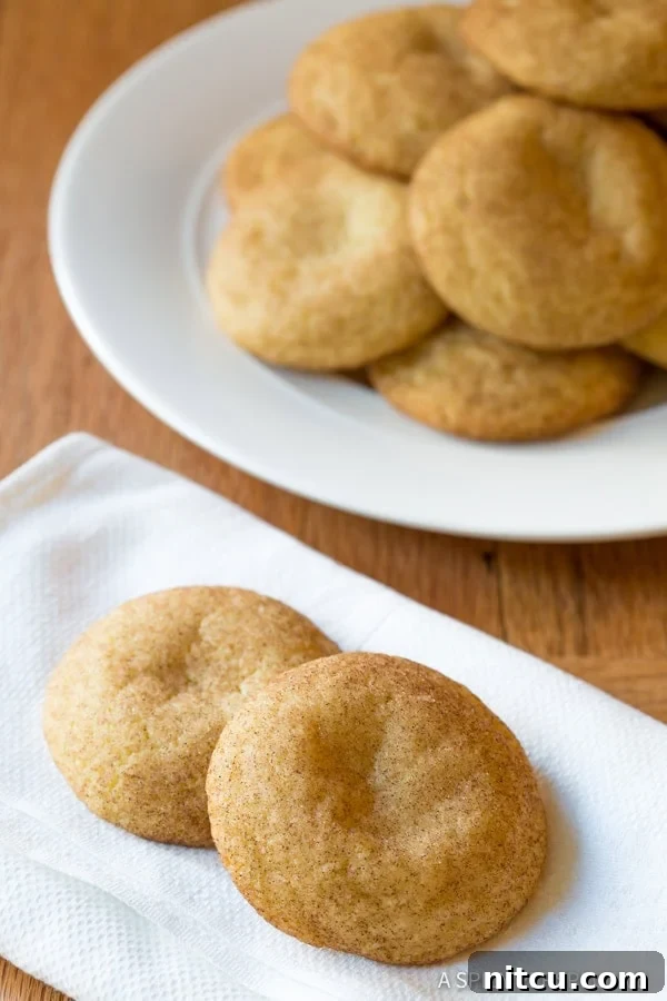 Best Snickerdoodle Cookies on  napkin
