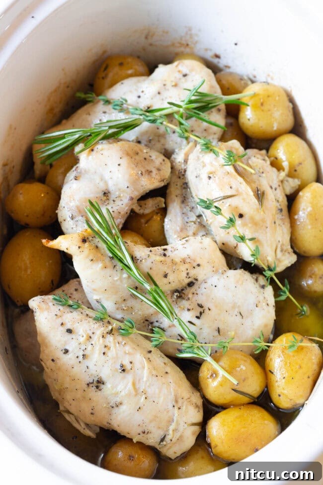 A slow cooker filled with tender garlic butter chicken and small golden potatoes, garnished with fresh herbs, ready to serve.
