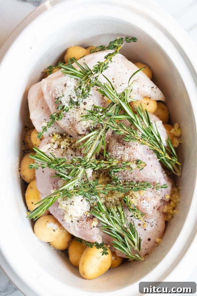 Raw garlic butter chicken and potatoes arranged in a crockpot with fresh sprigs of thyme and rosemary laid over the top before cooking.