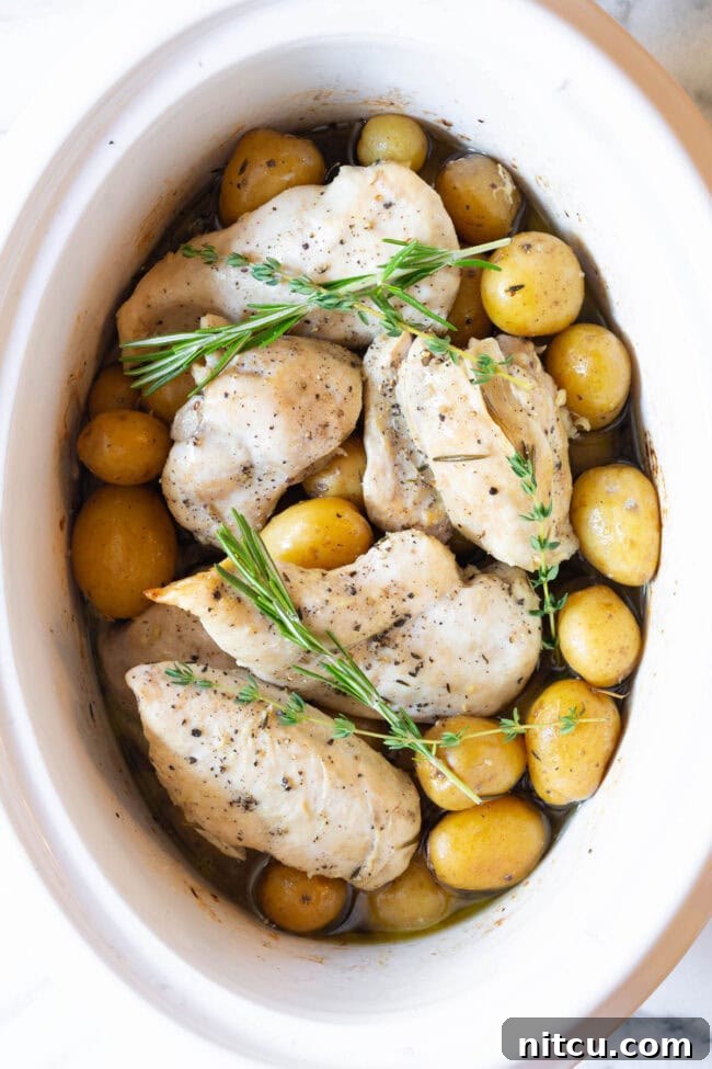 Garlic butter chicken and potatoes served fresh from the crockpot, glistening with sauce and topped with fresh herbs.