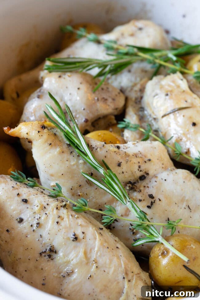 A close-up, side view of perfectly cooked garlic butter chicken and potatoes, garnished with fresh herbs, showcasing the tender textures.