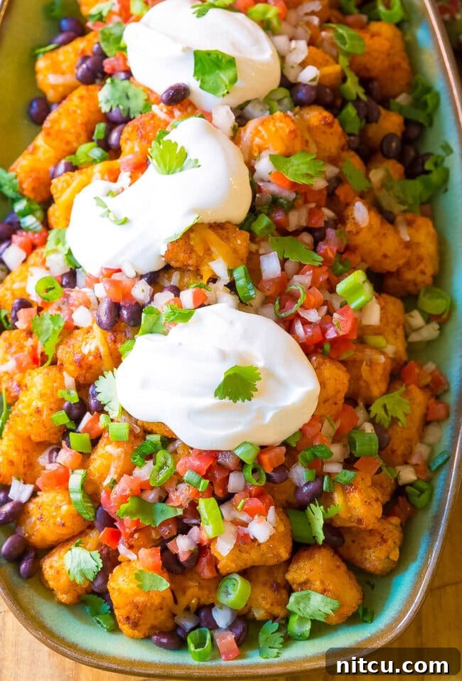 Tater tots on a serving platter with cheese, salsa, sour cream and cilantro on top. 