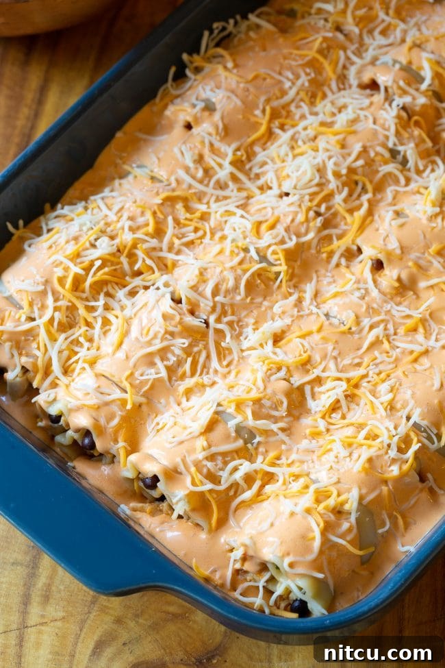 Rolled lasagna noodles filled with Southwest chicken mixture, arranged in a baking dish.
