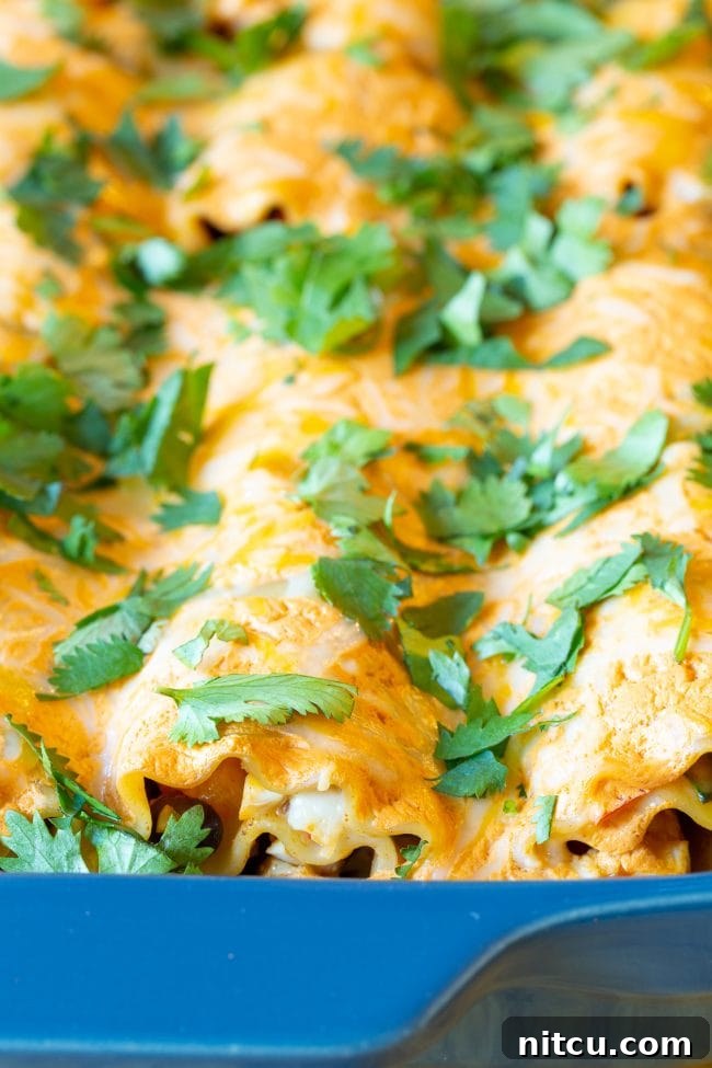 Southwest chicken lasagna rolls in a blue baking dish, fresh out of the oven, with melted cheese and garnish.