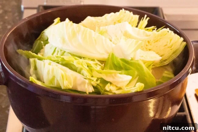 Cabbage and bacon simmering together in a large pot on the stove.