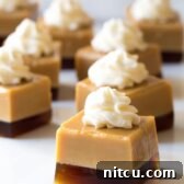 Baileys Irish Cream Jello Shots Recipe #SaintPatricksDay
