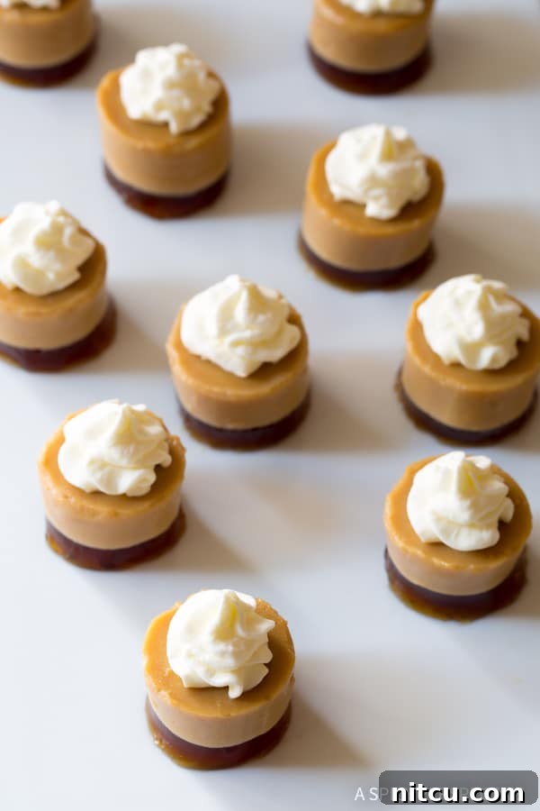 Overhead shot of perfectly round, layered jello shots topped with whipped cream, artfully arranged for a festive gathering.