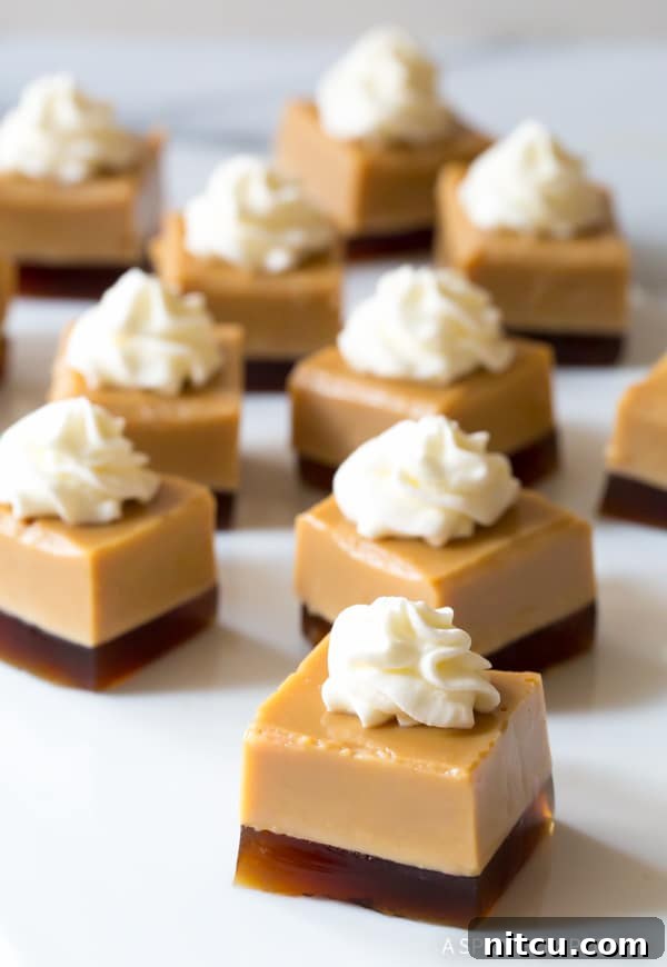 Finished jello shot squares, elegantly layered with coffee and Baileys Irish Cream, each crowned with a delicate dollop of whipped cream, ready for serving.