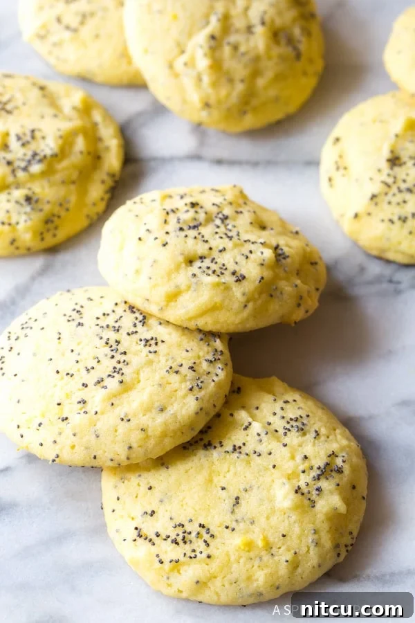 Freshly baked lemon poppy seed cookies scattered on a kitchen counter, ready to be enjoyed.