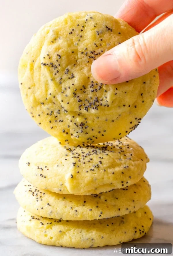 A hand holding a perfectly baked lemon poppy seed cookie, with more cookies stacked underneath.