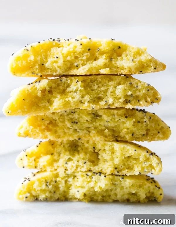 A lemon poppy seed cookie broken in half, showing its soft interior and speckles of poppy seeds.