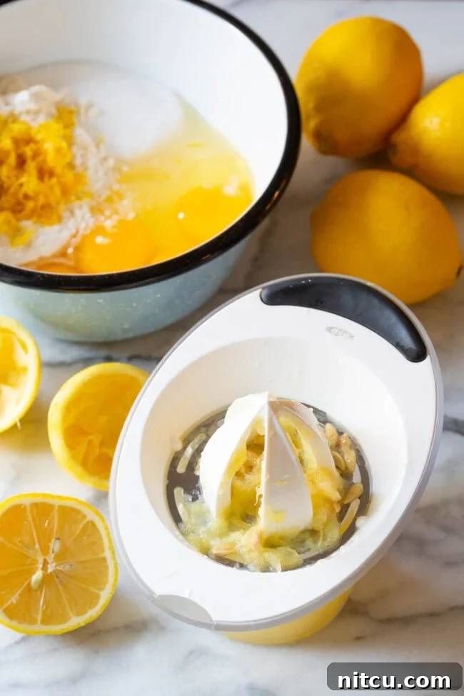 Ingredients for white chocolate lemon bars - juice fresh lemon