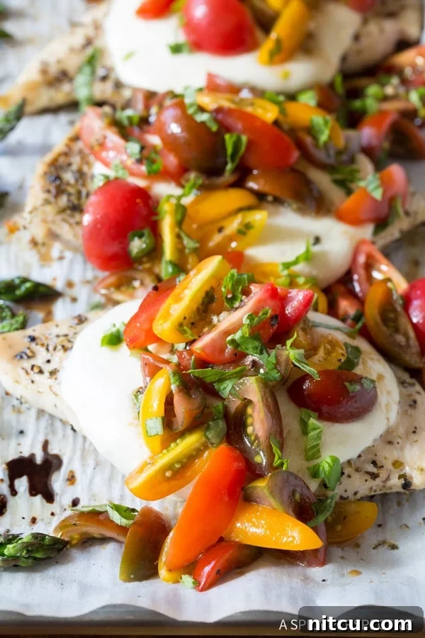 Close-up of baked chicken breast topped with glistening melted mozzarella cheese and a vibrant mix of diced fresh tomatoes and green basil leaves.