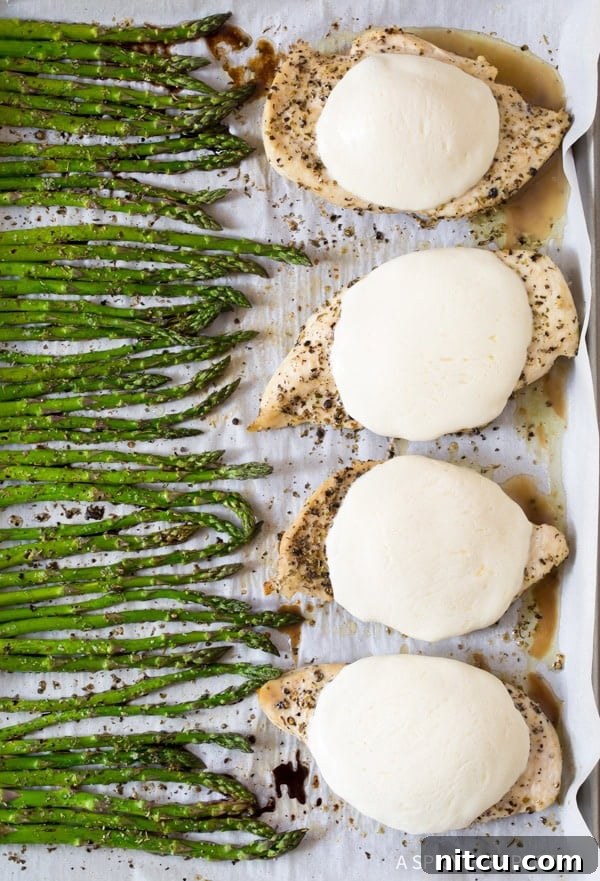 A close-up shot of the sheet pan after baking, showing golden-brown chicken breasts with perfectly melted mozzarella, and tender roasted asparagus ready to be served.