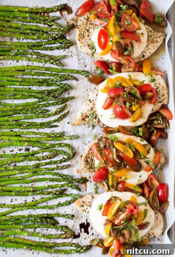 A perfectly portioned Bruschetta Chicken on a crisp white plate, elegantly topped with the fresh tomato-basil mixture, served with a side of vibrant roasted asparagus.