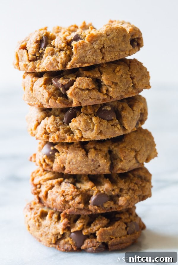 Stack of 6 magic gluten-free peanut butter and chocolate chip cookies, highlighting their appealing texture.