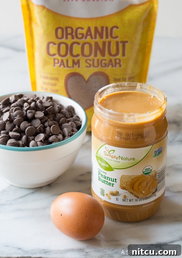 Recipe ingredients neatly arranged: an open jar of peanut butter, a whole egg, a small bowl of dark chocolate chips, and a bag of coconut palm sugar in the background.