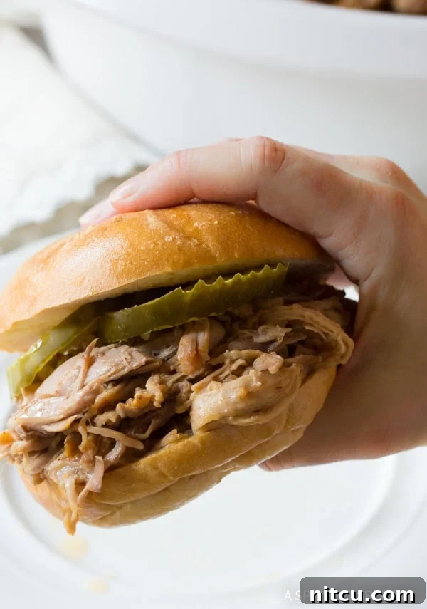 Hand holding a pulled pork sandwich. 