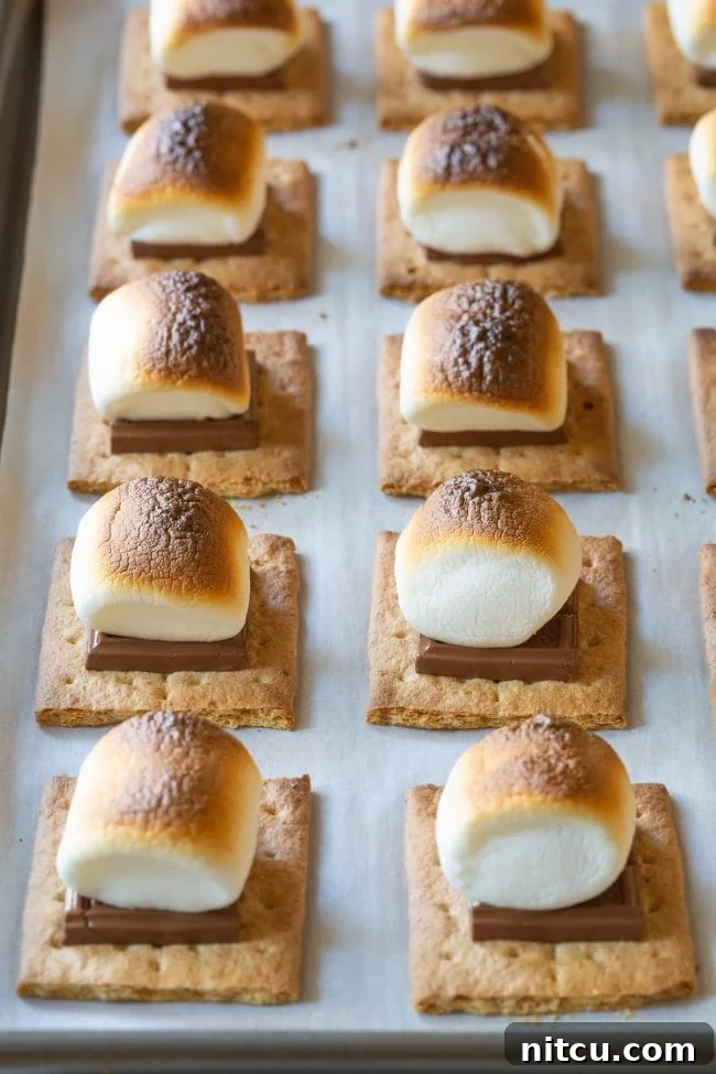 Close-up of toasted marshmallows with melted chocolate.