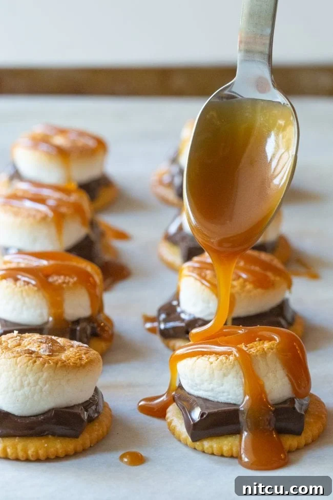 Gourmet s'mores with caramel sauce.