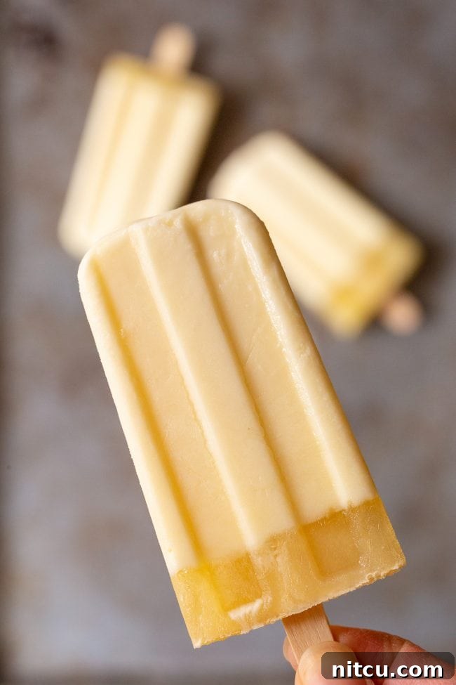 Ingredients for homemade creamsicles: juice, cream, sugar, vanilla