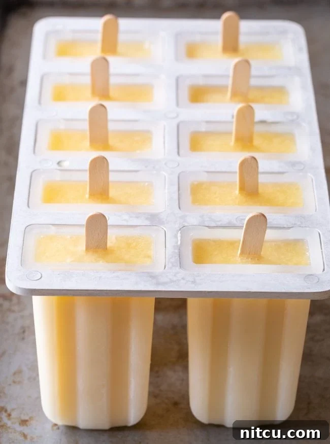 Close-up of a creamy orange popsicle