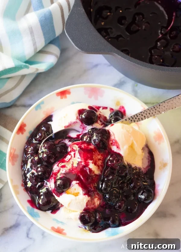 A bowl of vanilla ice cream topped with warm blueberry sauce.