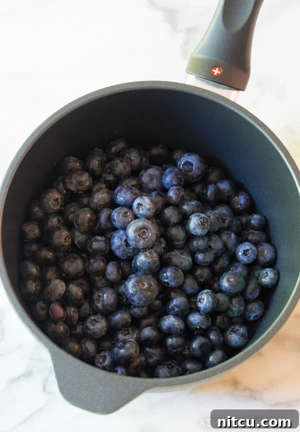 Fresh blueberries in a saucepan.