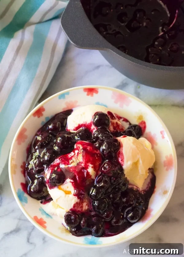 Bowl of ice cream with a blueberry sauce topping.