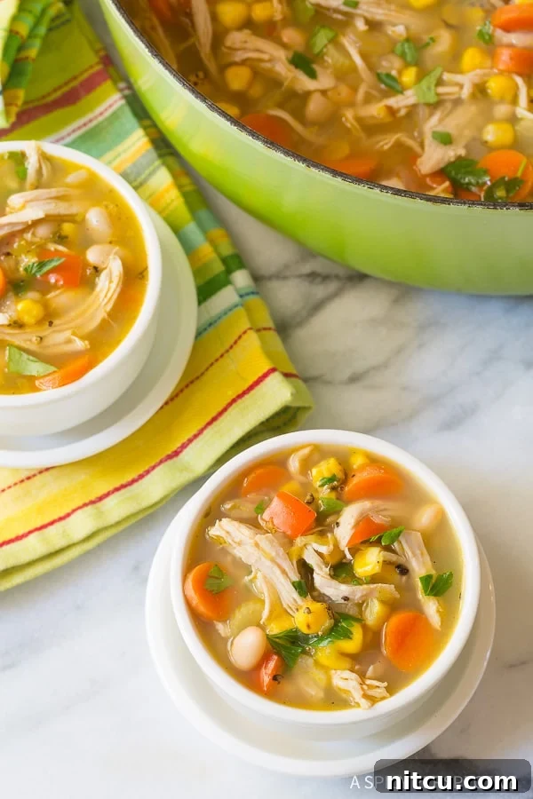 Chicken White Bean Soup in two white bowls with a green soup pot nearby, garnished with fresh parsley.