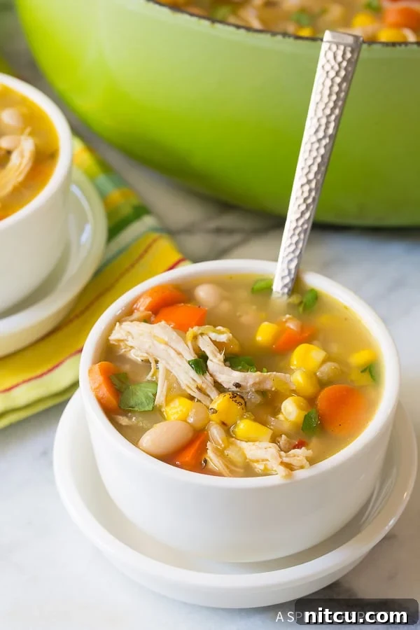 A close-up of Chicken White Bean Soup in a white bowl, with another bowl and a green soup pot in the background.