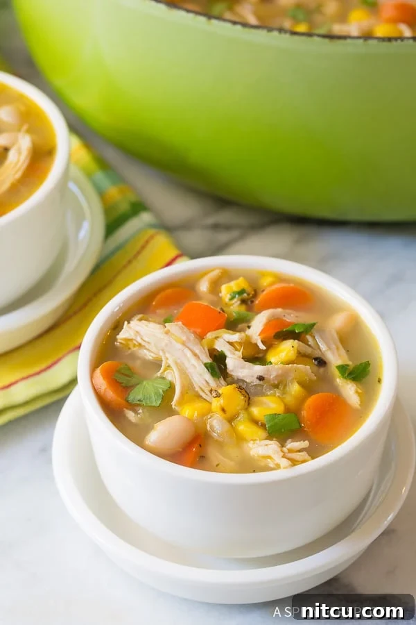 A white bowl of Chicken White Bean Soup with another bowl of soup and a green soup pot in the background, ready to be served.