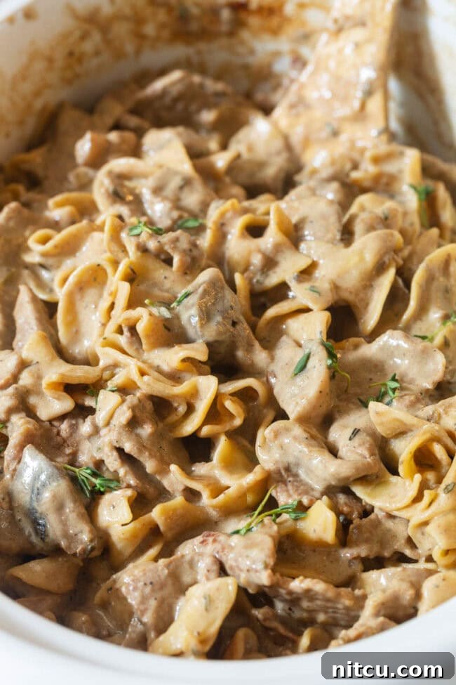Beef Stroganoff (Slow Cooker Recipe) - close up in a crock
