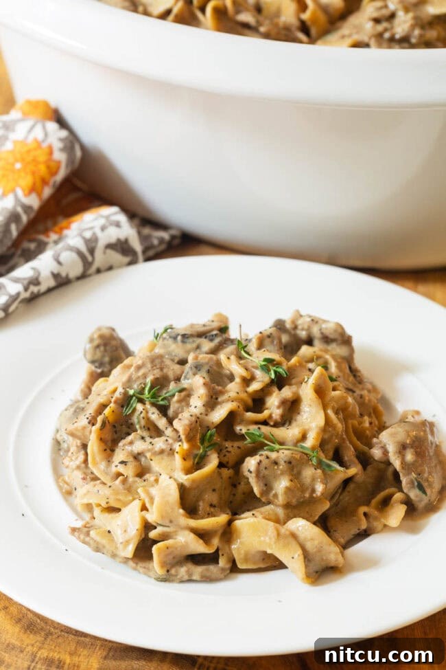 Crock Pot Beef Stroganoff Recipe on plate