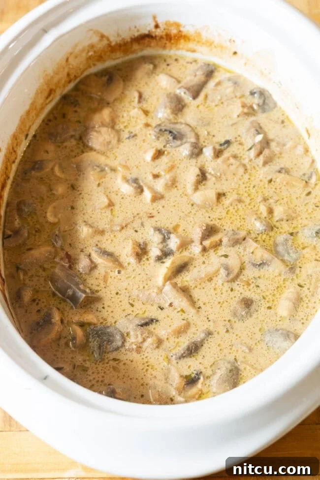 Beef Stroganoff Slow Cooker Recipe in sauce
