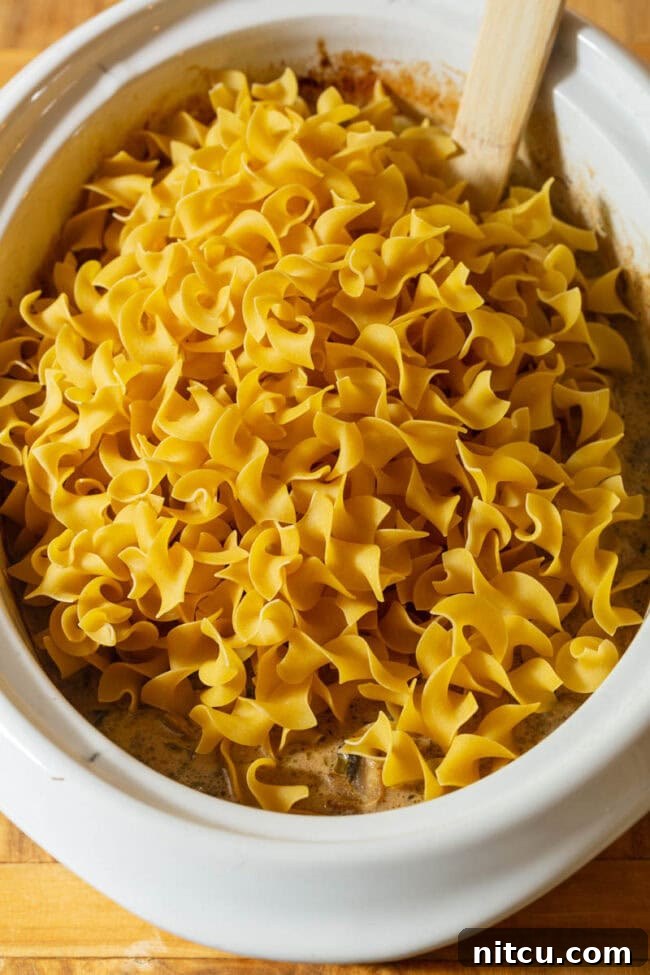 Egg Noodles for Beef Stroganoff Slow Cooker Version