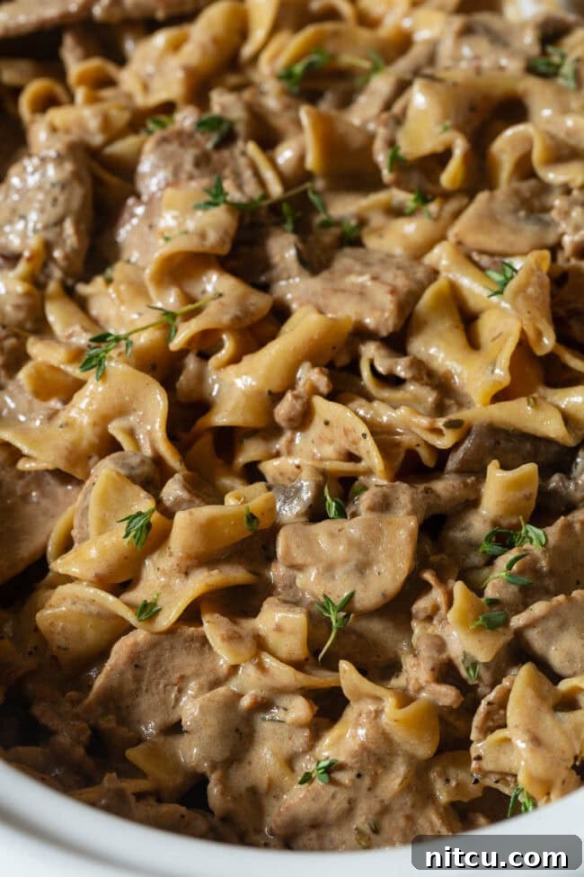 Slow Cooker Beef Stroganoff close up with noodles - close up version