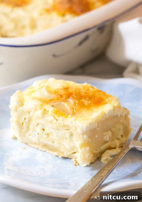 Serving of Croatian cheese strukli served on a plate. 